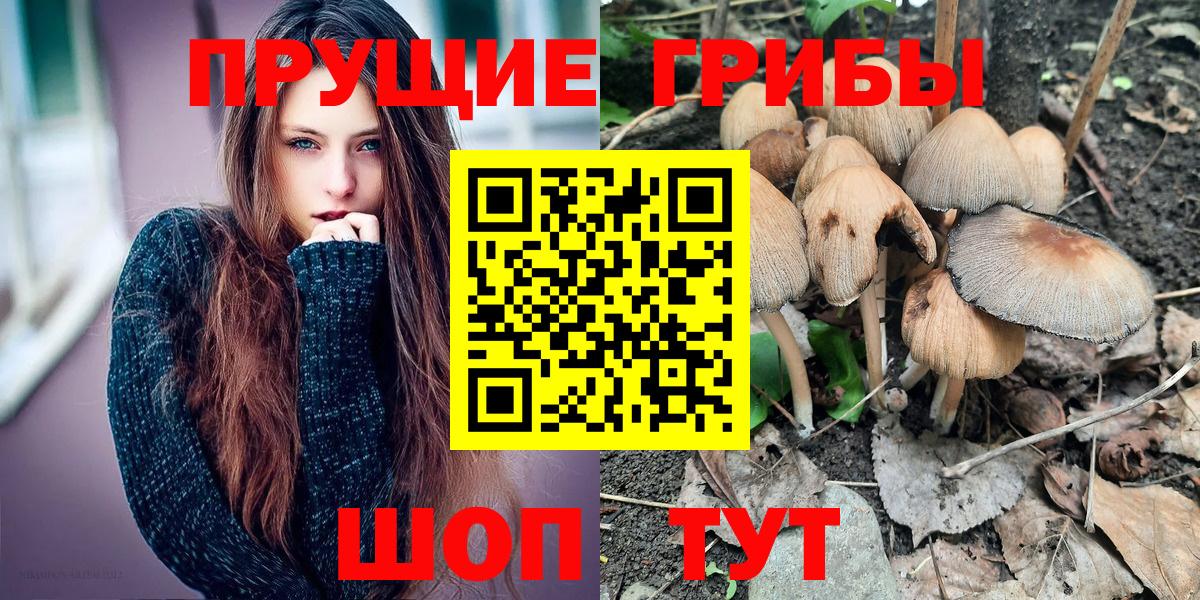 Галлюциногенные грибы мухоморы  Вход с VPN  купить   Алушта  Галлюциногенные грибы Cubensis 